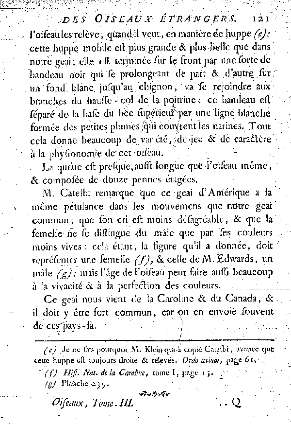 VII. Le Geai bleu de l'Amérique septentrionale