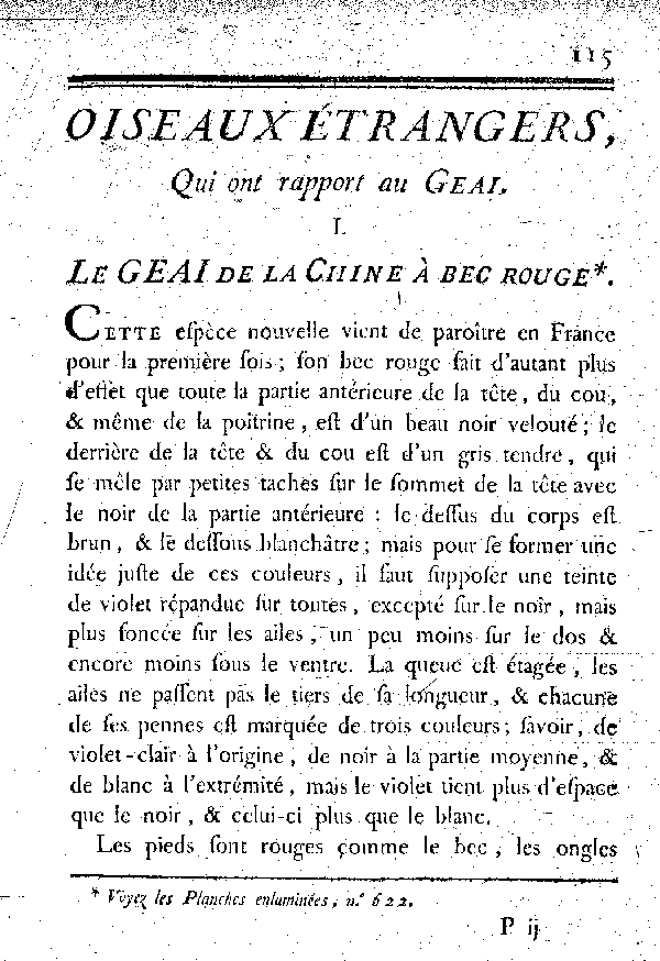 I. Le Geai de la Chine à bec rouge