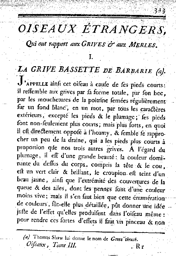 I. La Grive bassette de Barbarie