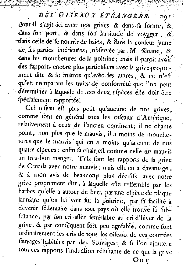 II. La Grivette d'Amérique