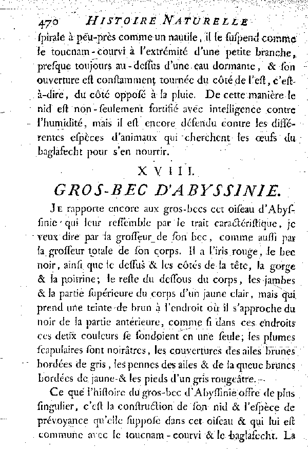 XVIII. Le Gros-bec d'Abyssinie