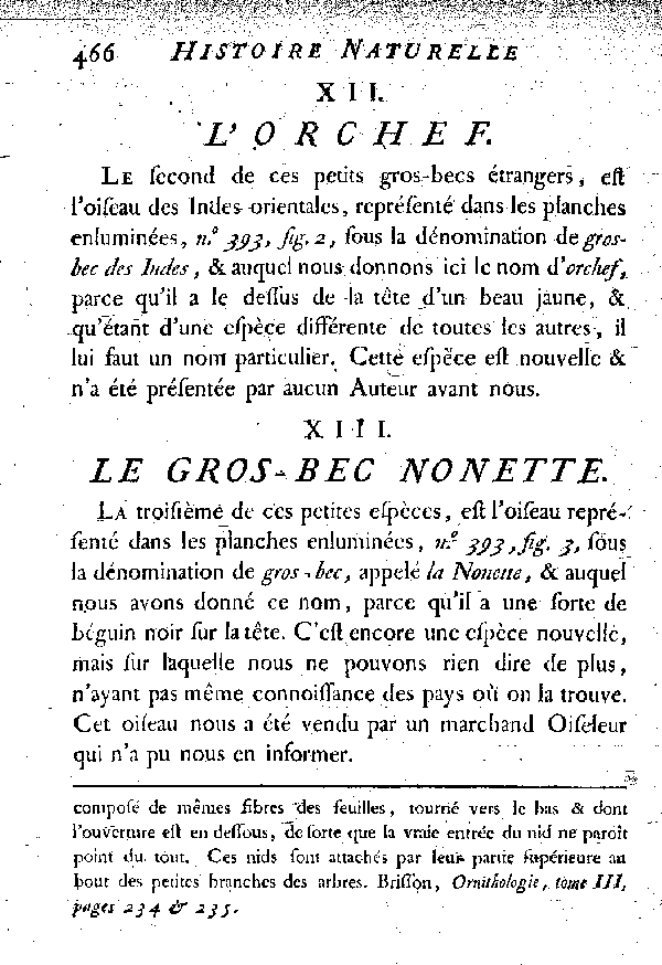 XIII. Le Gros-bec nonette