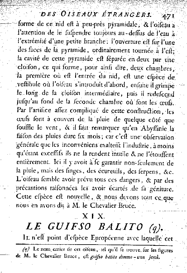 XIX. Le Guifso balito