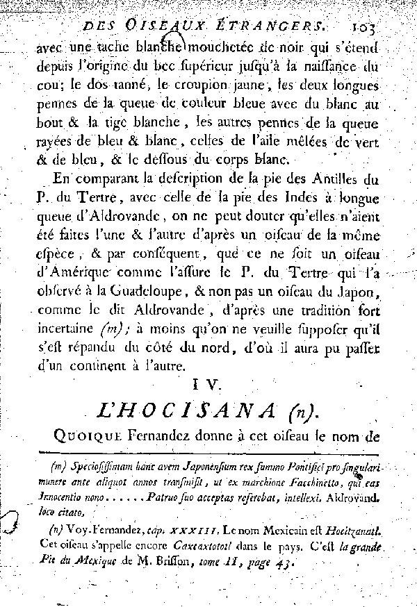 IV. L'Hocisana