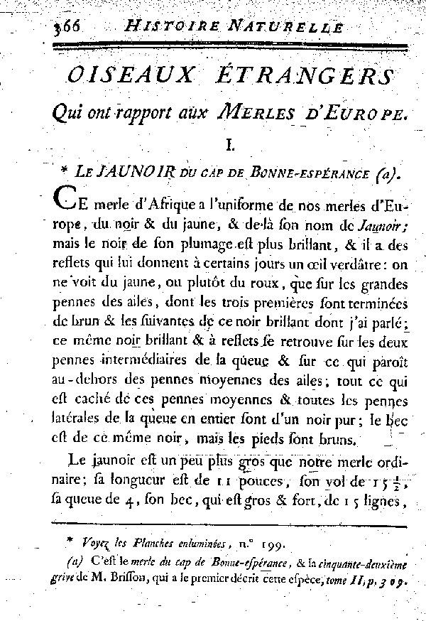 I. Le Jaunoir du cap de Bonne-espérance