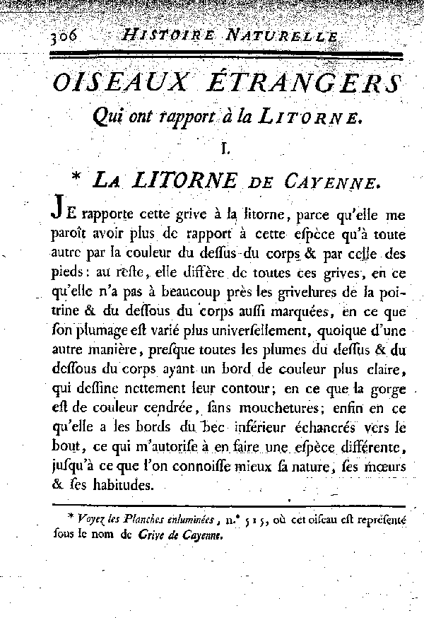 I. La Litorne de Cayenne