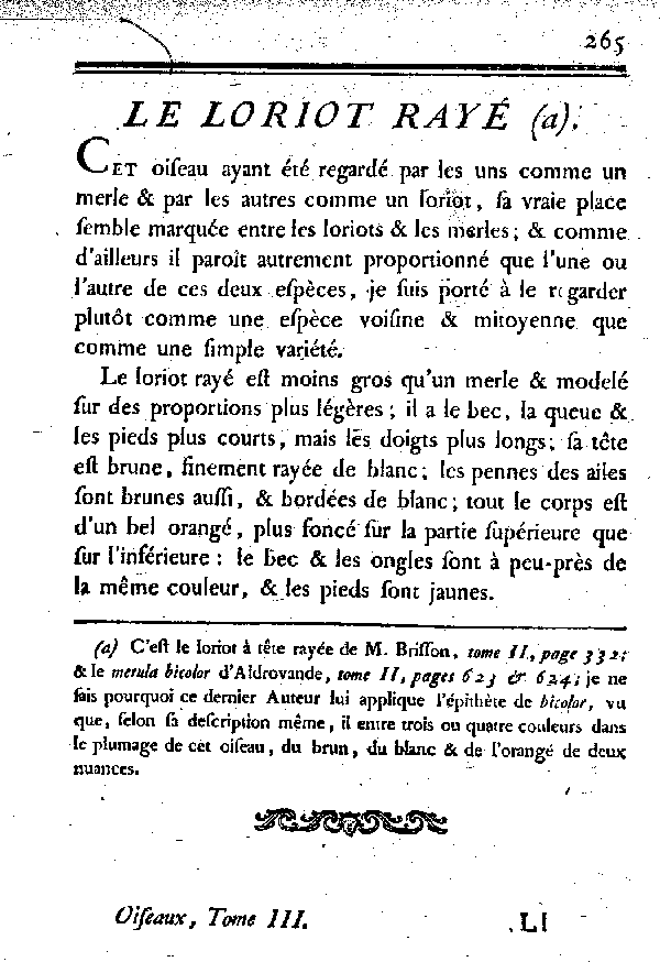 Le Loriot rayé