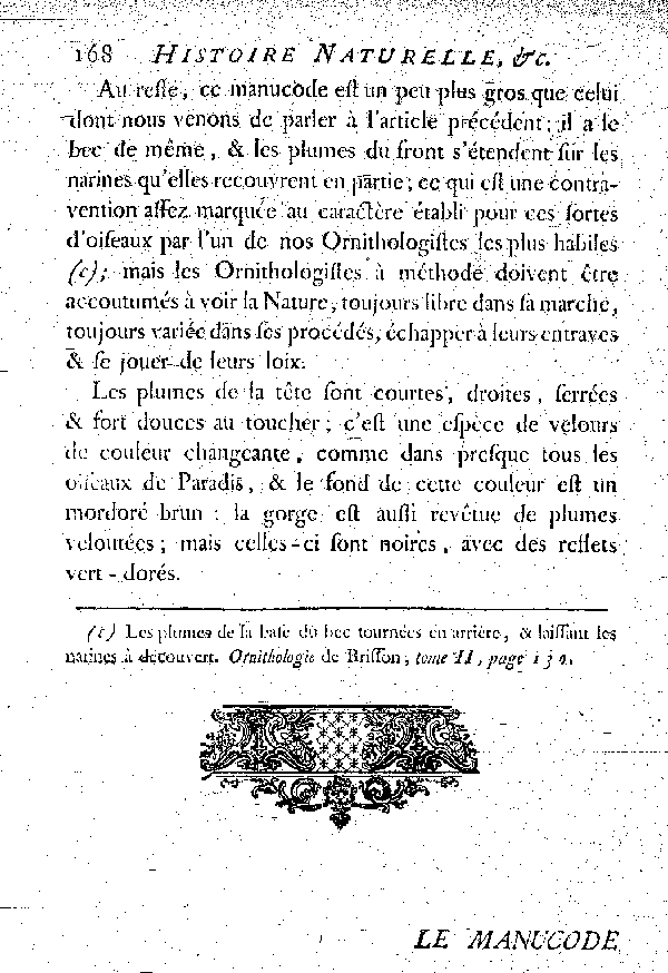 Le Magnifique de la nouvelle Guinée ou le Manucode à bouquets