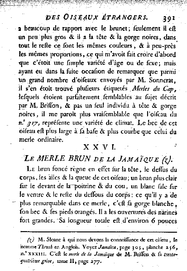 XXVI. Le Merle brun de la Jamaïque