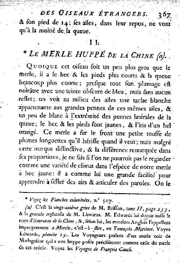 II. Le Merle huppé de la Chine