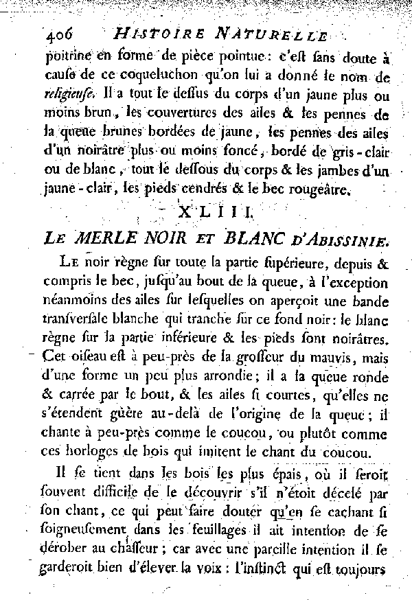 XLIII. Le Merle noir et blanc d'Abyssinie