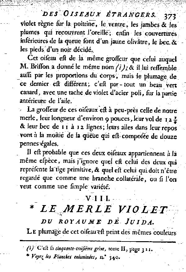 VIII. Le Merle violet du Royaume de Juida