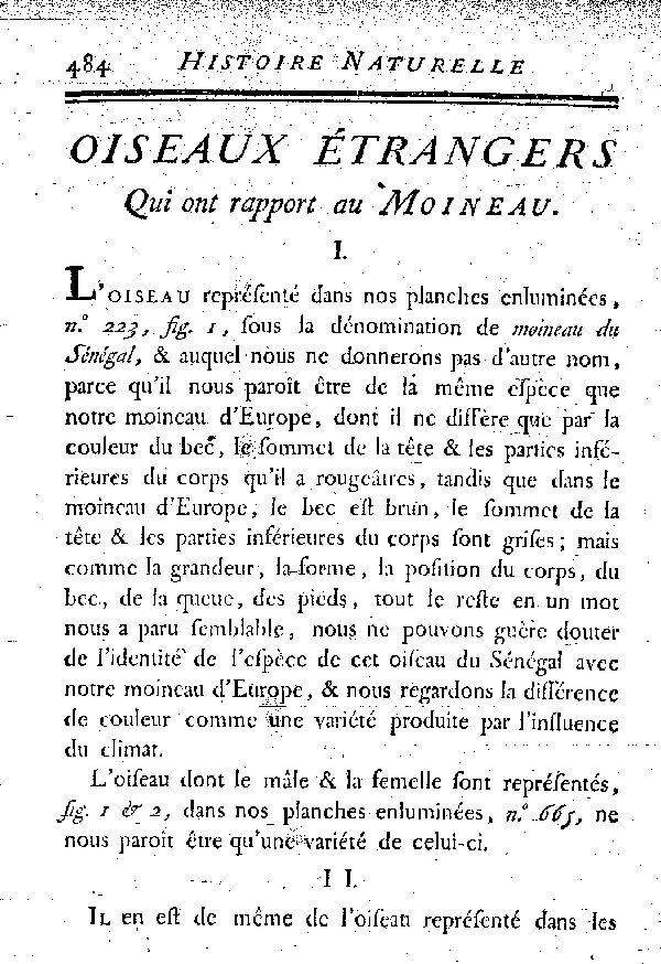 II. Le Moineau à bec rouge du Sénégal