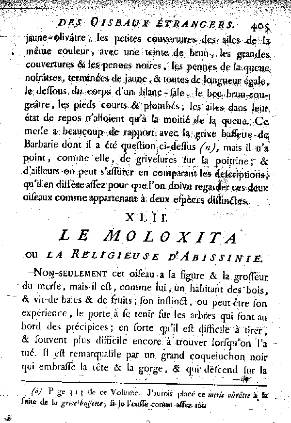 XLII. Le Moloxita ou la Religieuse d'Abyssinie