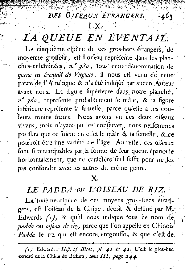 X. Le Padda ou l'Oiseau de Riz