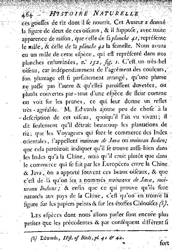 X. Le Padda ou l'Oiseau de Riz