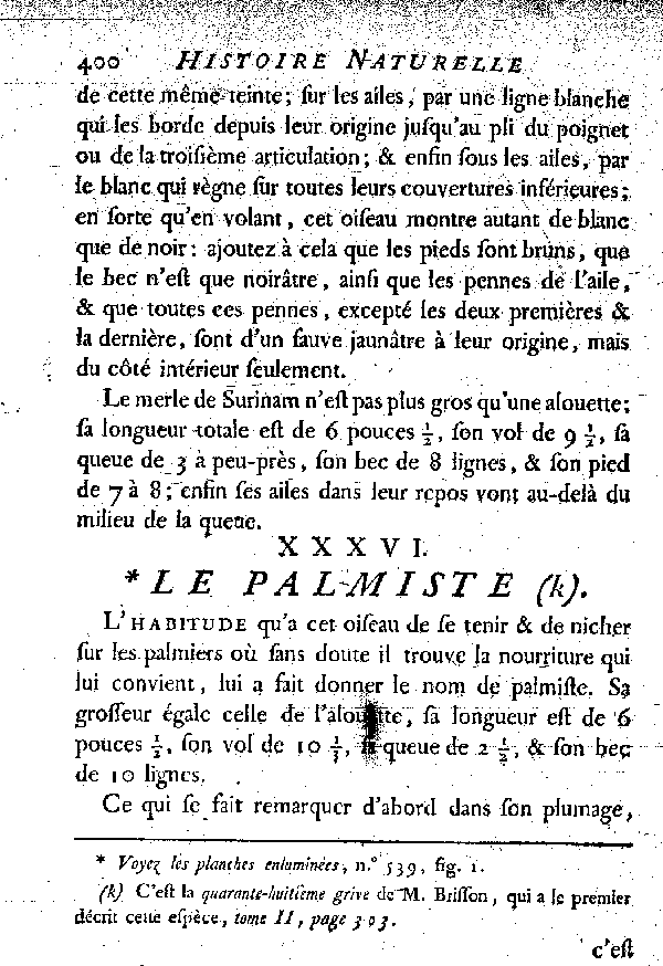 XXXVI. Le Palmiste