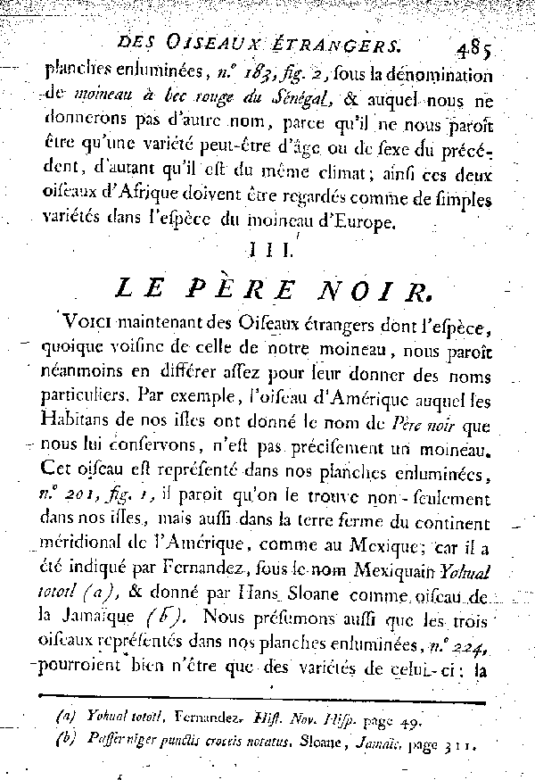 III. Le Père noir