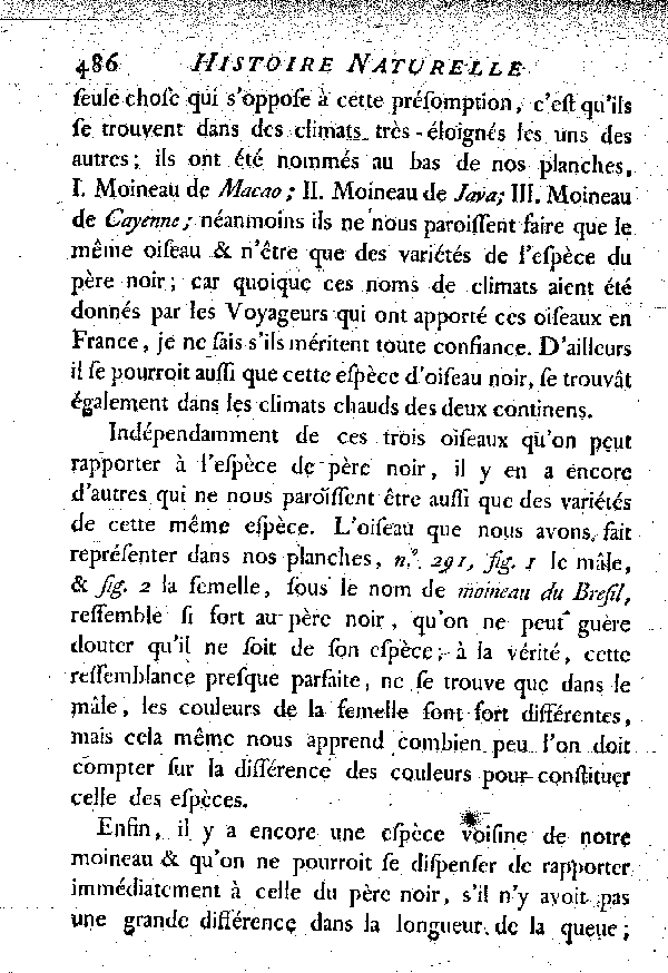 III. Le Père noir