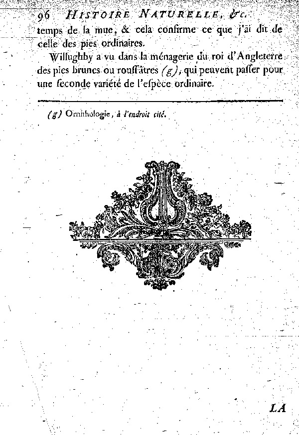 La Pie