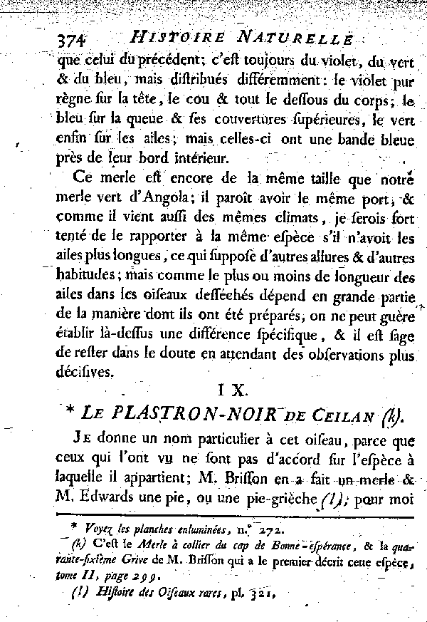 IX. Le Plastron noir de Ceilan