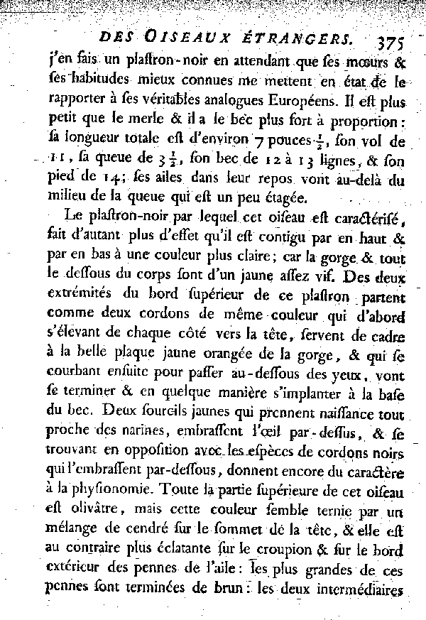 IX. Le Plastron noir de Ceilan