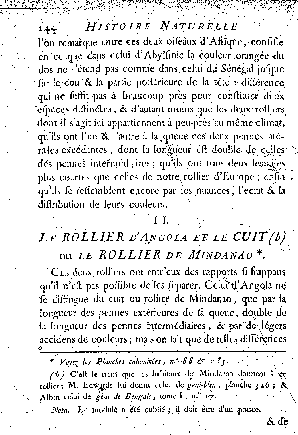 II. Le Rollier d'Angola et le Cuit ou le Rollier de Mindanao