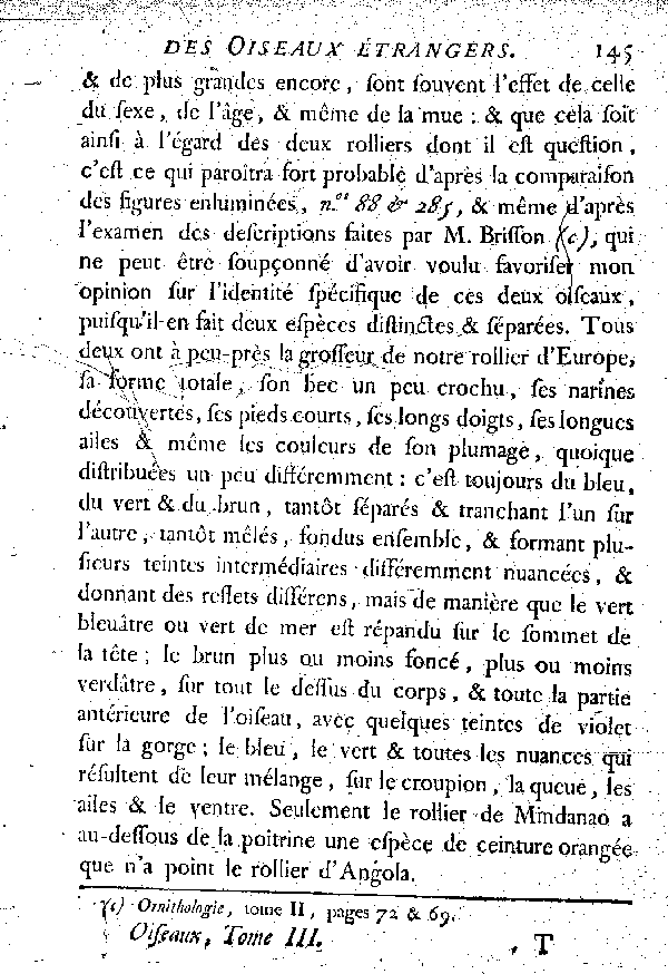 II. Le Rollier d'Angola et le Cuit ou le Rollier de Mindanao