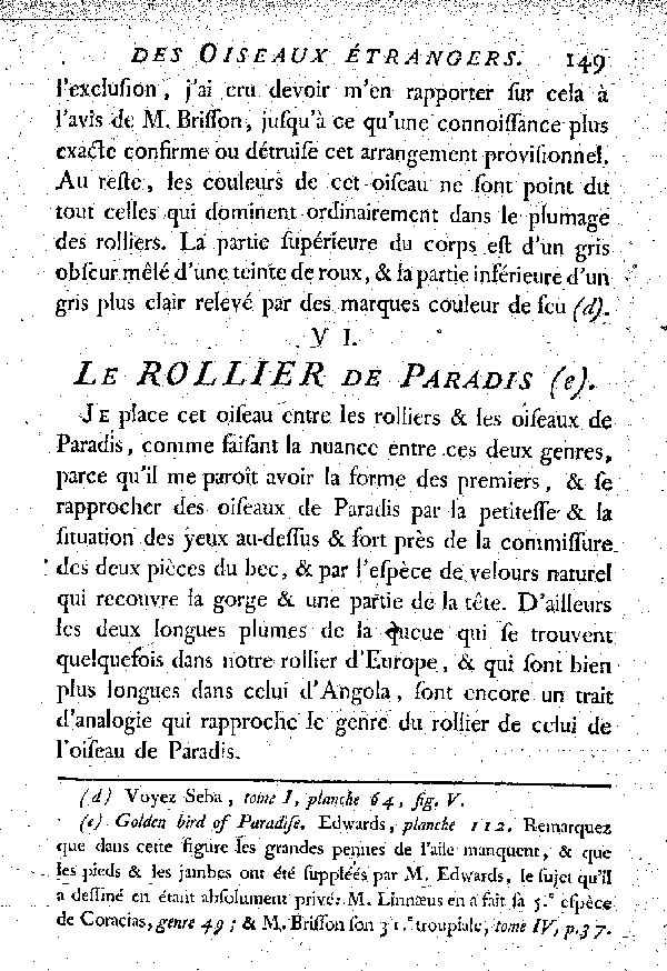 VI. Le Rollier de Paradis