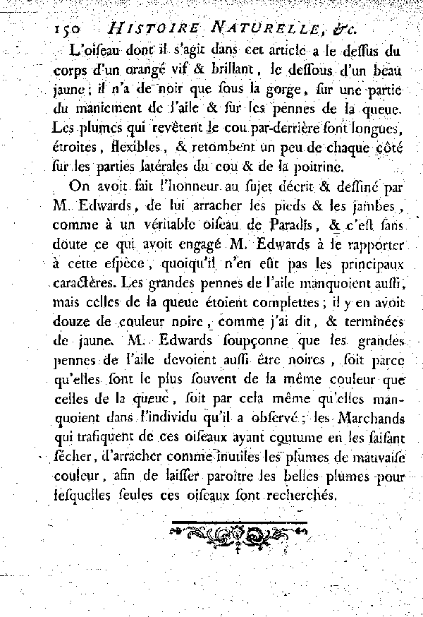 VI. Le Rollier de Paradis