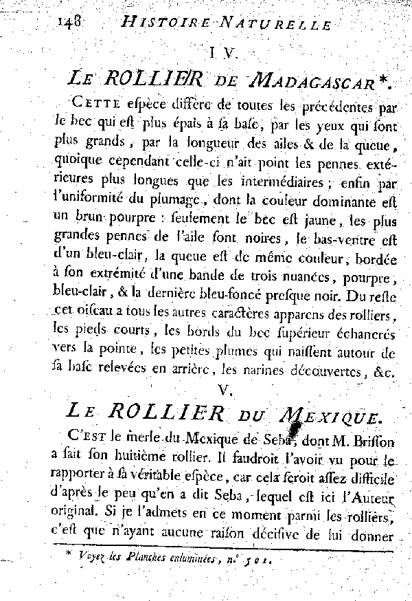 V. Le Rollier du Mexique