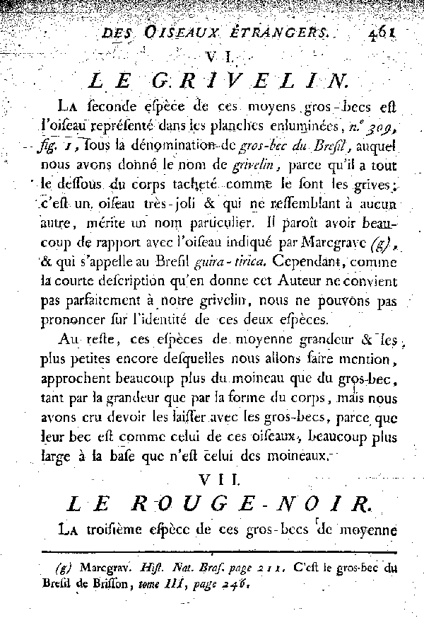 VII. Le Rouge-noir