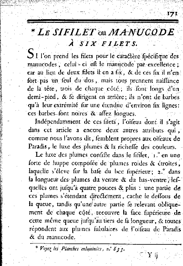 Le Sifilet ou Manucode à six filets