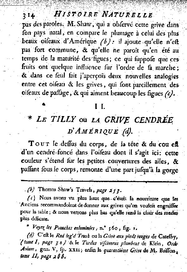 II. Le Tilly ou la grive cendrée d'Amérique