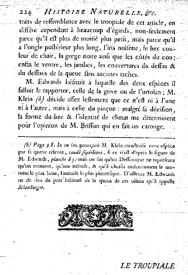 Le Troupiale tacheté de Cayenne