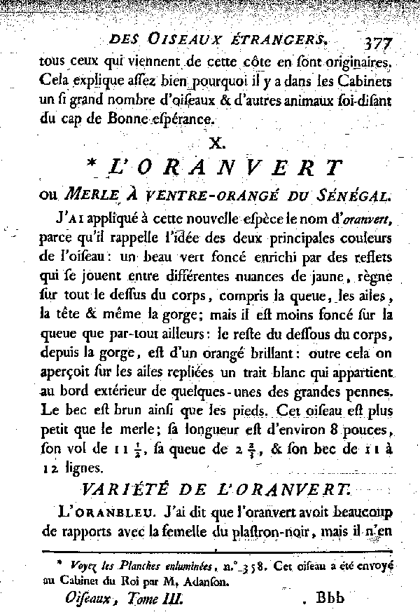 Variété de l'Oranvert