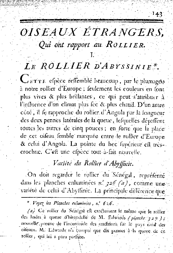 Variété du Rollier d'Abyssinie