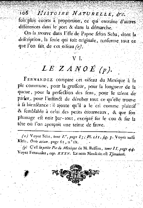 VI. Le Zanoé