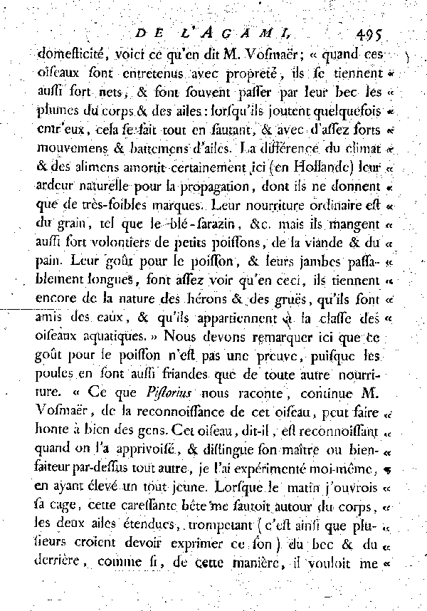 L'Agami.