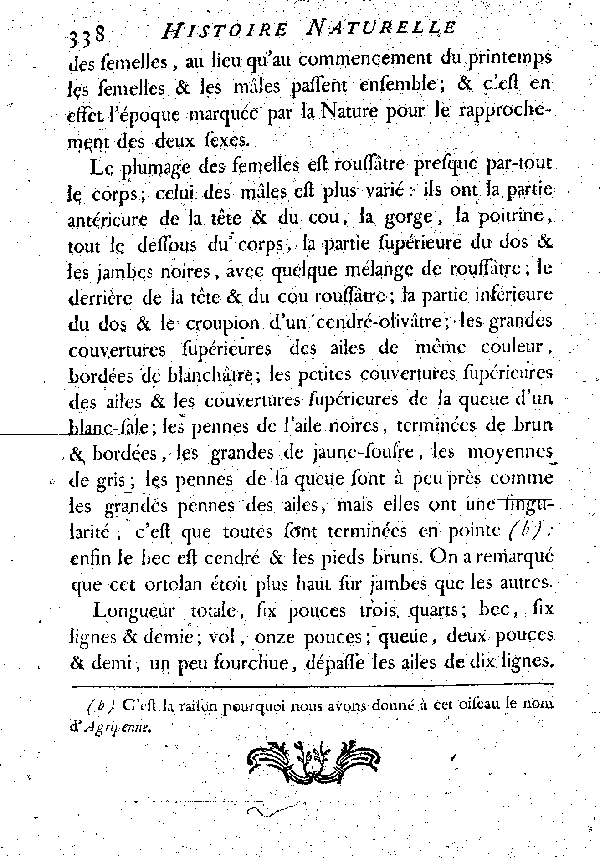 L'Agripenne ou Ortolan de la Louisiane.