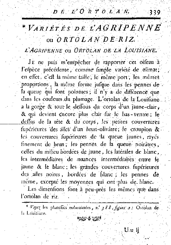 L'Agripenne ou l'Ortolan de riz.