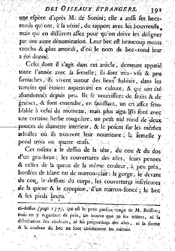 IV. Le Bec-rond à ventre roux.