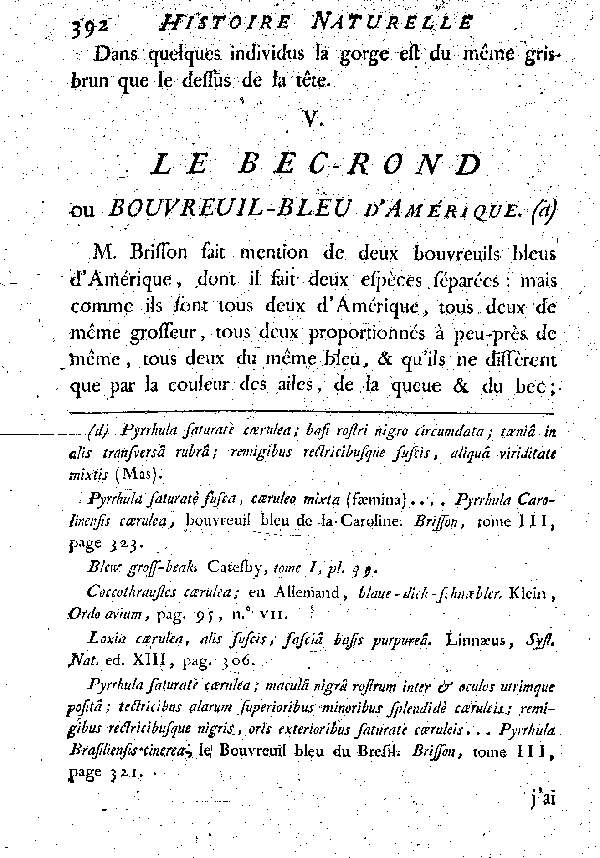 V. Le Bec-rond ou Bouvreuil-blen d'Amérique.
