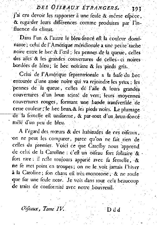 V. Le Bec-rond ou Bouvreuil-blen d'Amérique.