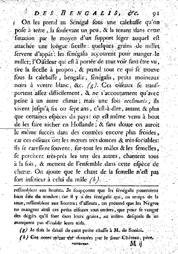 Les Bengalis et les Sénégalis.