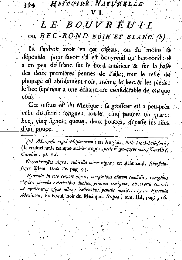 VI. Le Bouvreuil ou Bec-rond noir et blanc.