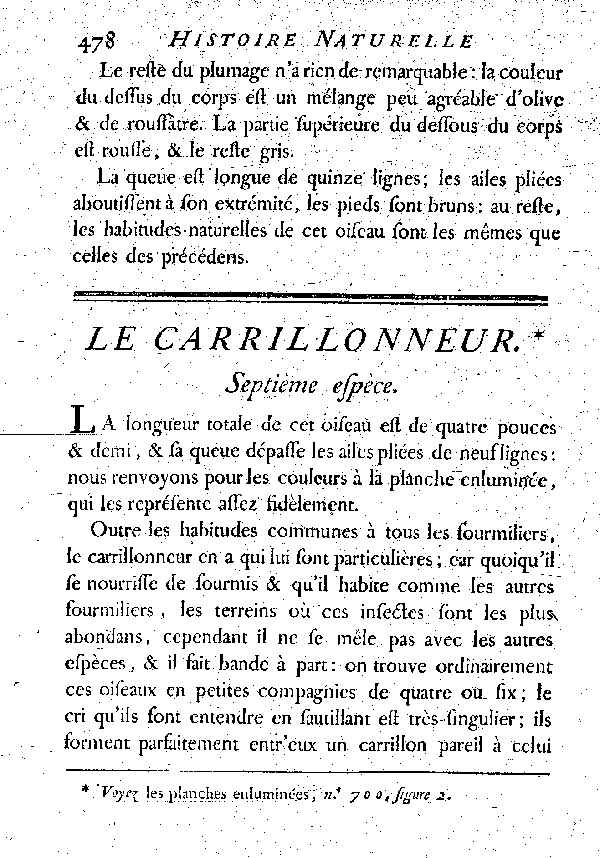 Le Carrillonneur.