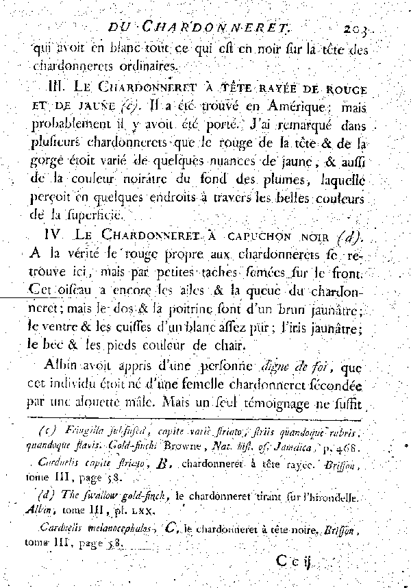 IV. Le Chardonneret à capuchon noir.