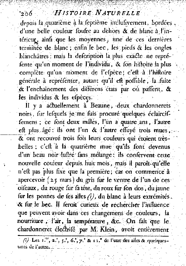 VII. Le Chardonneret noir.