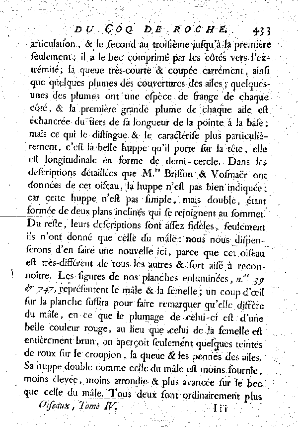 Le Coq de Roche.